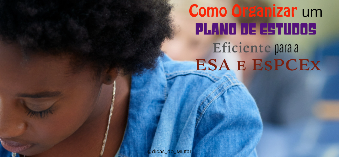 plano de esudo